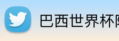 巴西世界杯阵容 Logo
